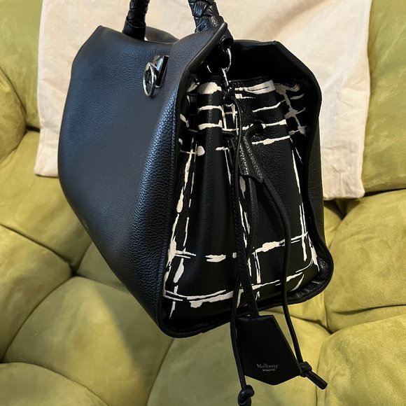 Mulberry Iris - Picture 5 of 12